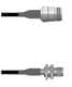 Amphenol Custom Cable Q-1W04I0008006i