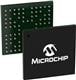 Microchip Technology ATMXT640UD-CCU001