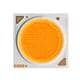 Cree LED CXA2540-0000-000N0YT230F